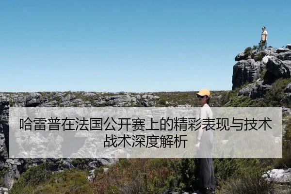 哈雷普在法国公开赛上的精彩表现与技术战术深度解析 - LD
